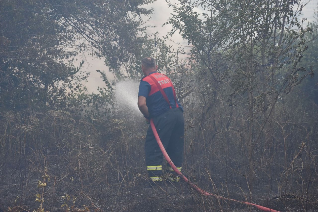 Sinop’ta yangın: 10 dönüm alan zarar gördü