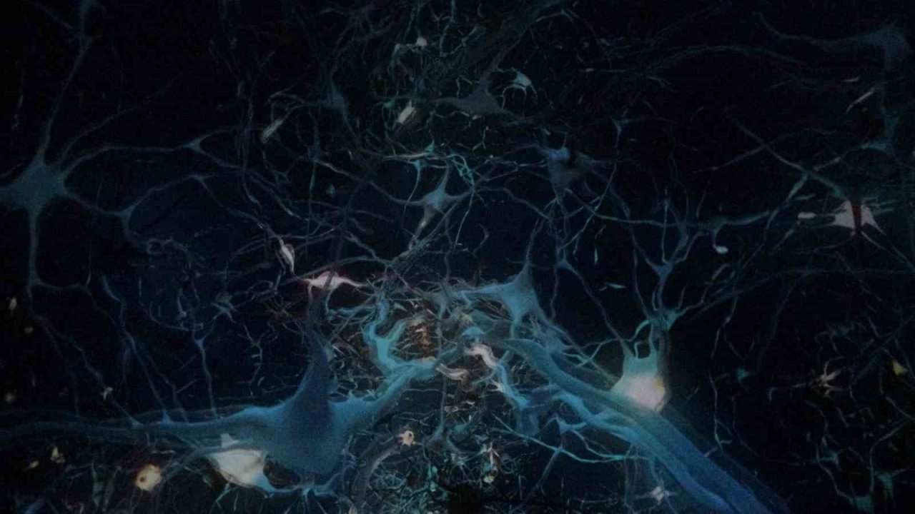 Karadeniz’in uzaya açılan kapısı olacak