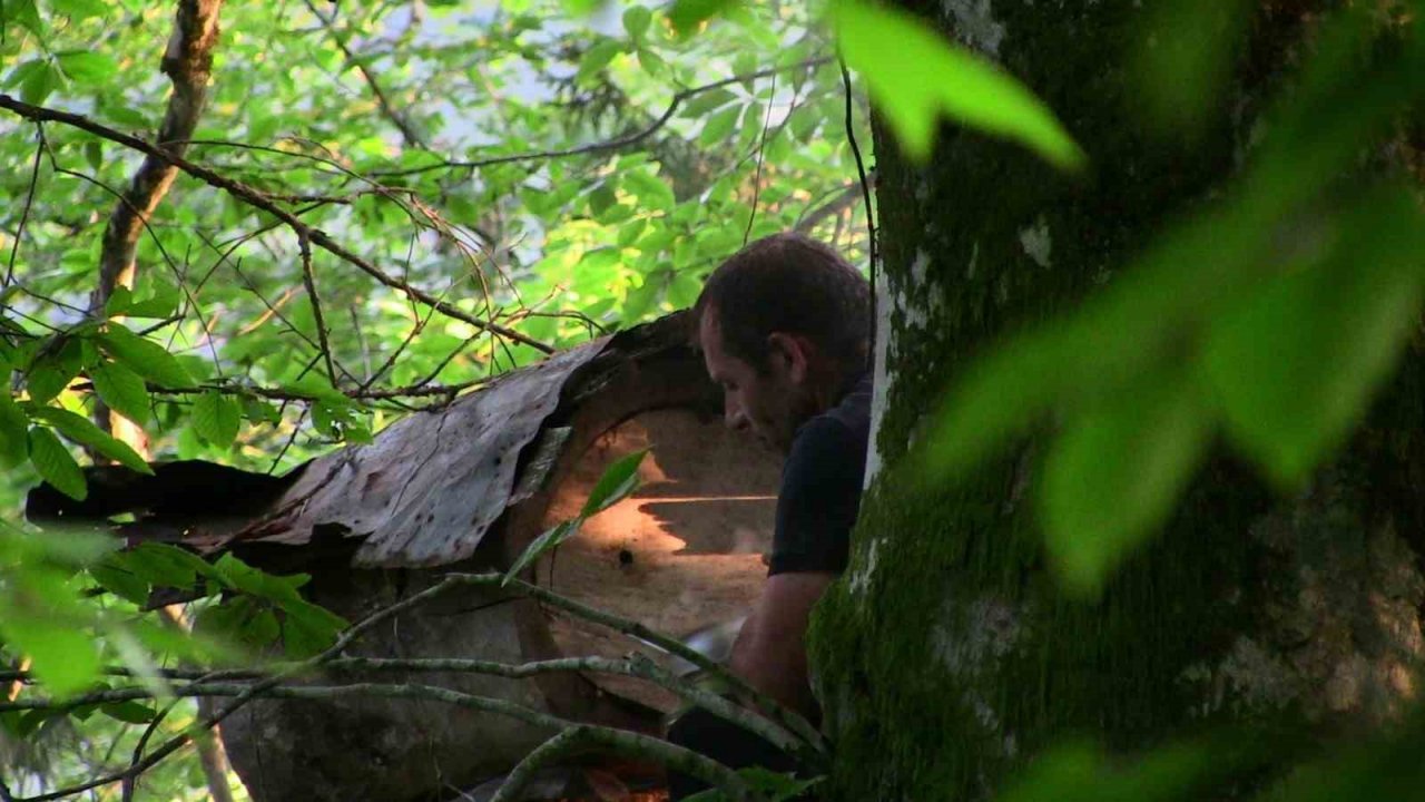 Macahel balı Anzer Balı’na rakip oluyor