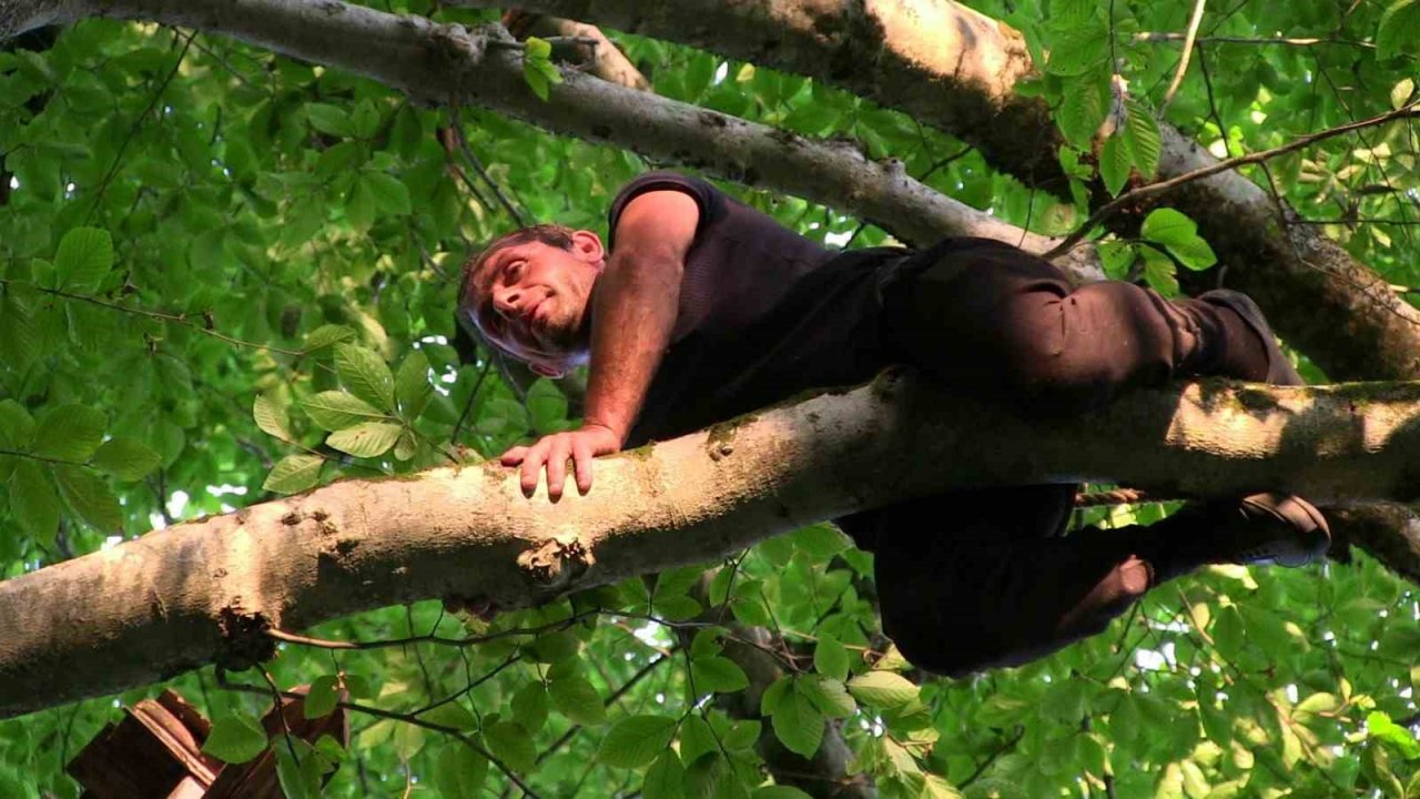 Macahel balı Anzer Balı’na rakip oluyor