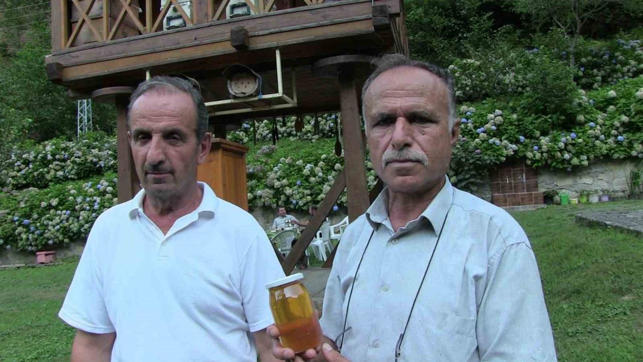 Macahel balı Anzer Balı’na rakip oluyor