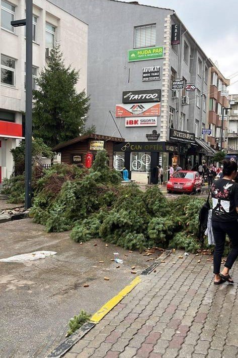 Uşak’ta yağış miktarı rekor seviyelere ulaştı