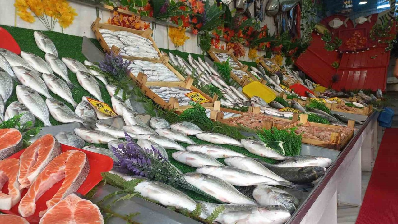 Yeni sezonda hamsi ve istavrit bolluğu görülebilir
