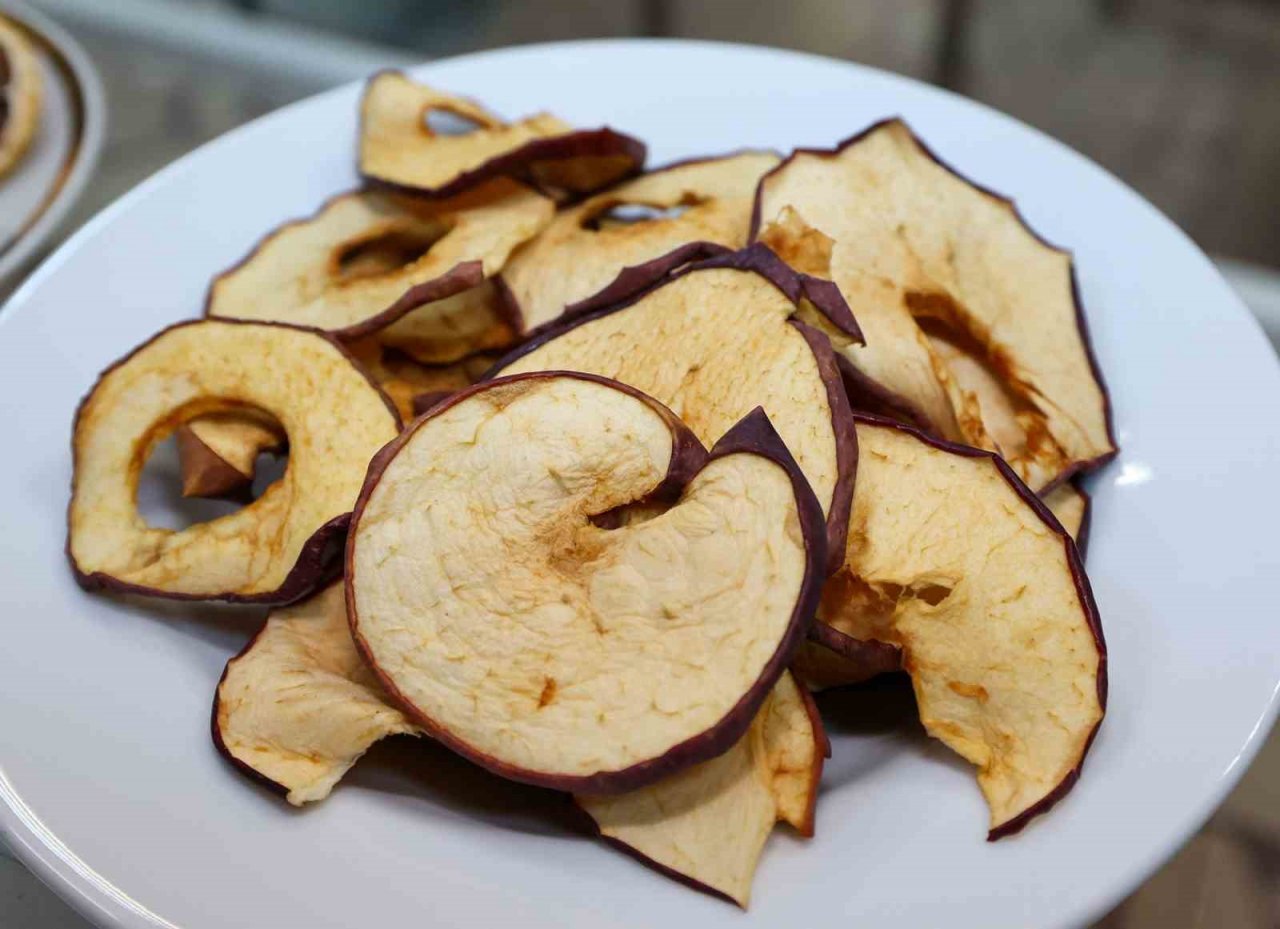 Bu tesiste hedef, yılda 10 bin ton kurutulmuş meyve ve sebze üretmek