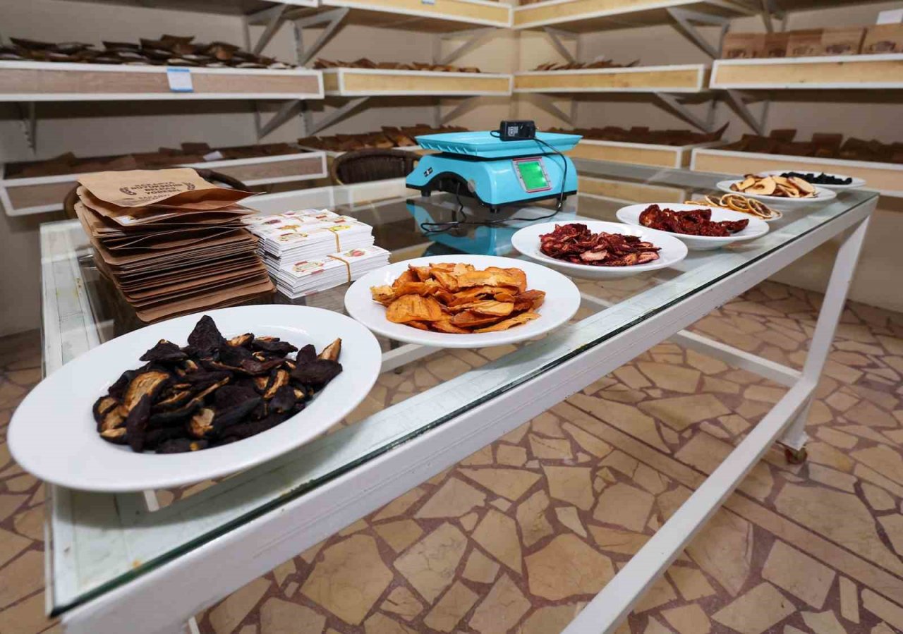 Bu tesiste hedef, yılda 10 bin ton kurutulmuş meyve ve sebze üretmek