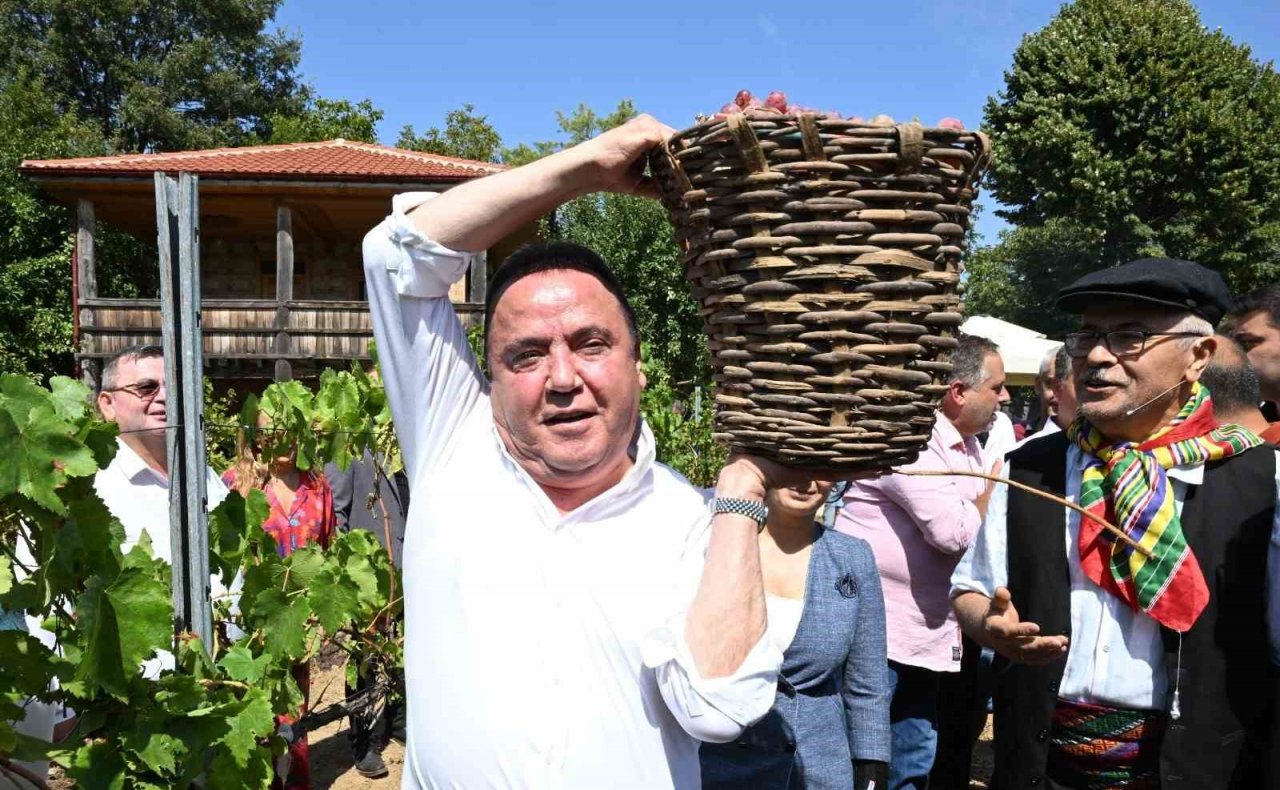 Antalya Gastronomi Festivali’nin ikinci gününde mor üzüm hasadı