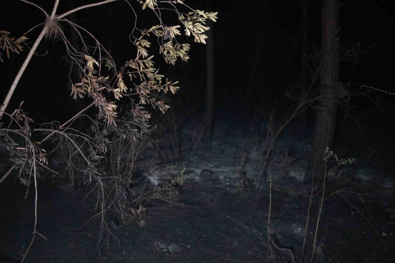 Bursa’da çıkan yangına gece saatlerinde müdahale sürüyor