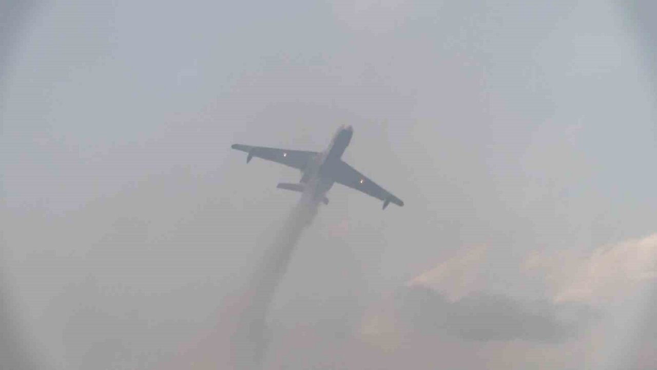 Bursa’da orman yangını arıları telef etti, ekipler alevlere böyle müdahale etti