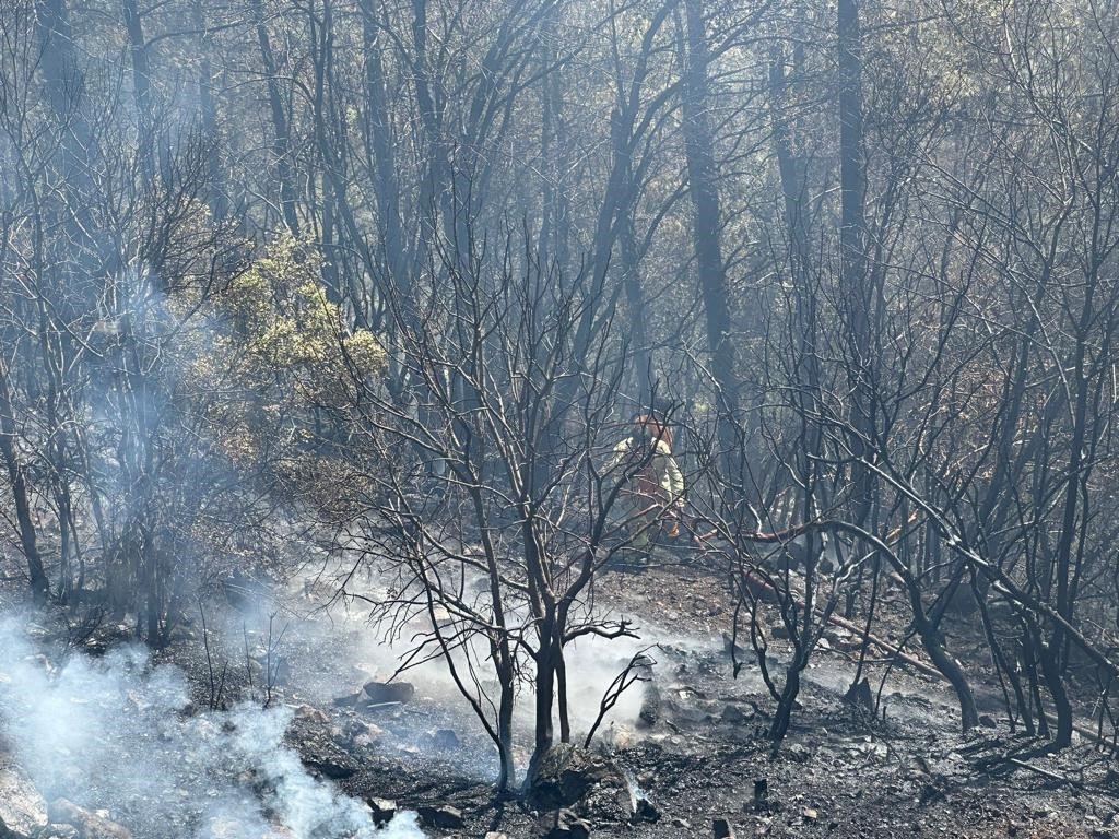 Marmaris’te çıkan orman yangını kısa sürede kontrol altına alındı