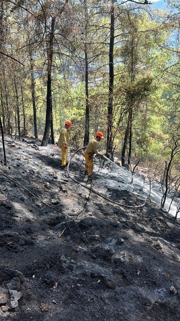 Marmaris’te çıkan orman yangını kısa sürede kontrol altına alındı