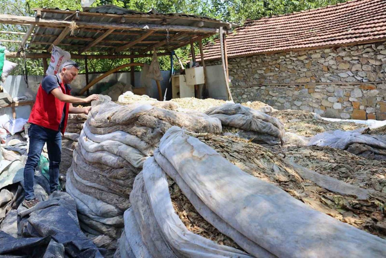 Dolu yağışı ürünleri vurdu