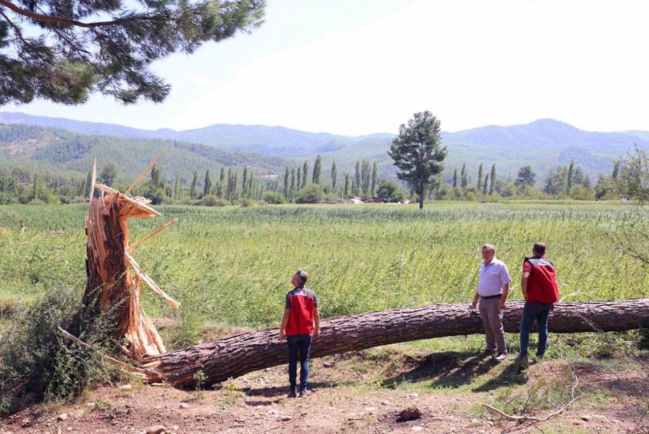 Dolu yağışı ürünleri vurdu