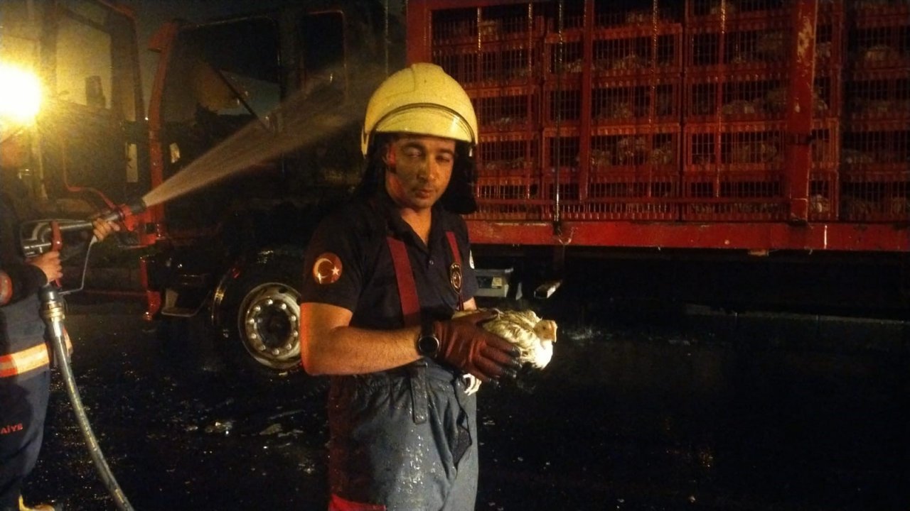 Tavuk yüklü tırda korkutan yangın