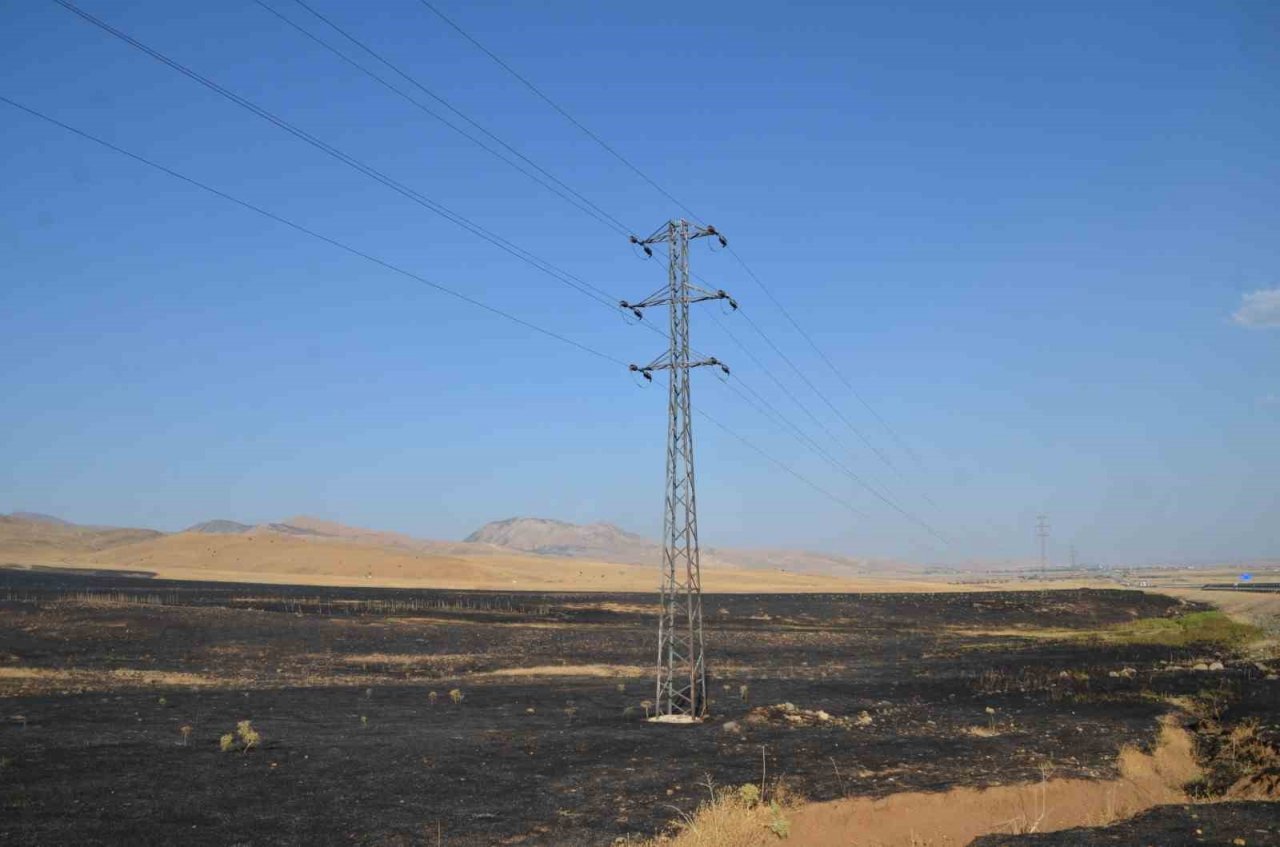 Muş’ta elektrik tellerinin genleşmesi sonucu çıkan yangında 1 kişi yaralandı