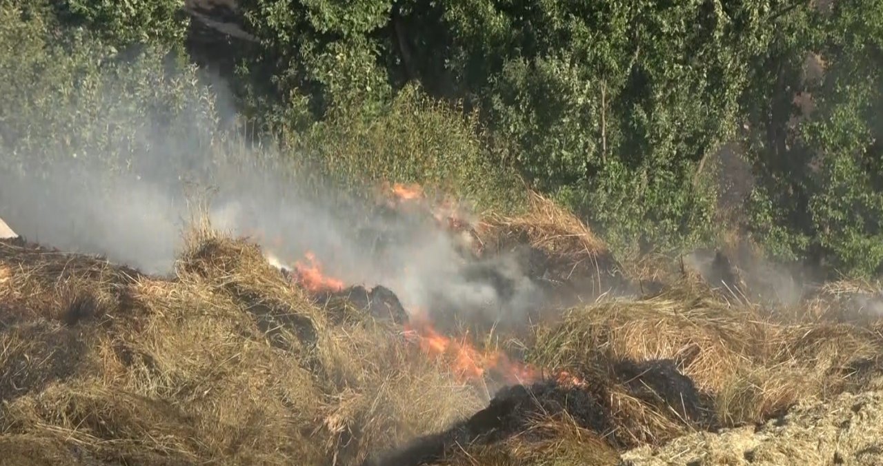 Muş’ta elektrik tellerinin genleşmesi sonucu çıkan yangında 1 kişi yaralandı