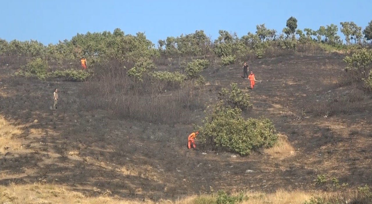Muş’ta elektrik tellerinin genleşmesi sonucu çıkan yangında 1 kişi yaralandı