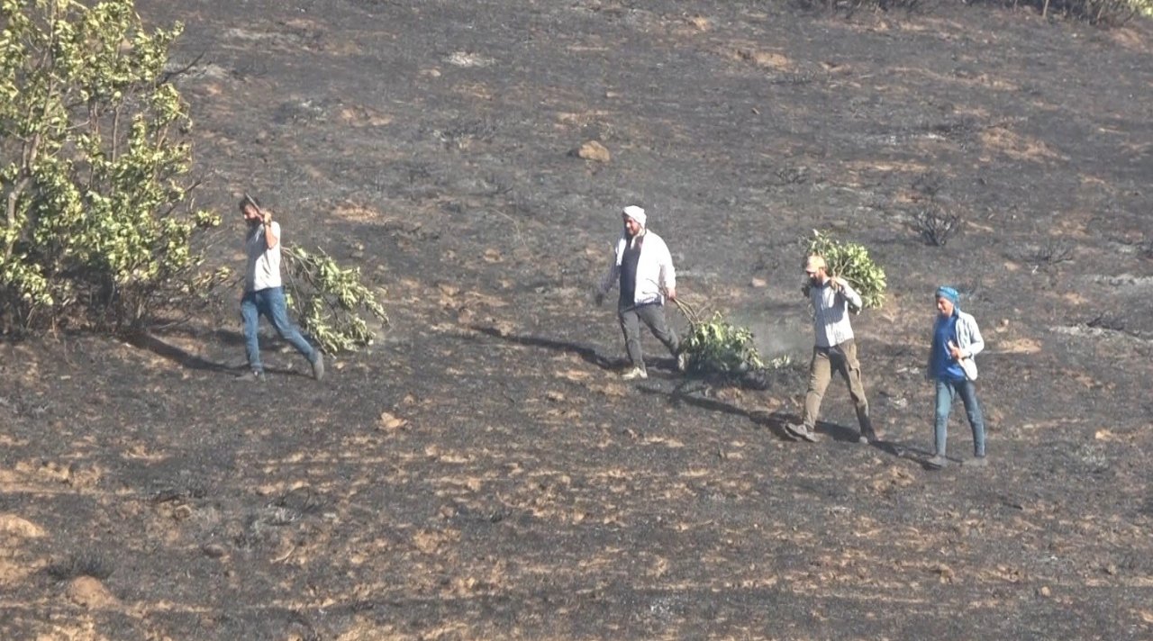 Muş’ta elektrik tellerinin genleşmesi sonucu çıkan yangında 1 kişi yaralandı