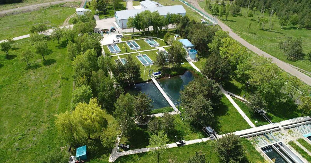 İçsu Balıkları Araştırma ve Uygulama Birimi, balık üretimini sürdürüyor