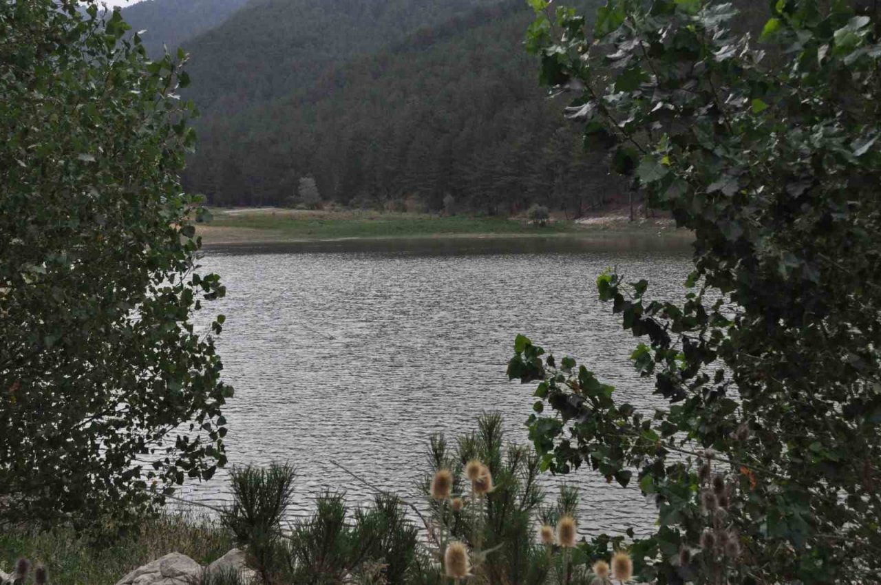 Doğa ile baş başa kalmak isteyenlerin adresi: "Beyderesi Göleti"