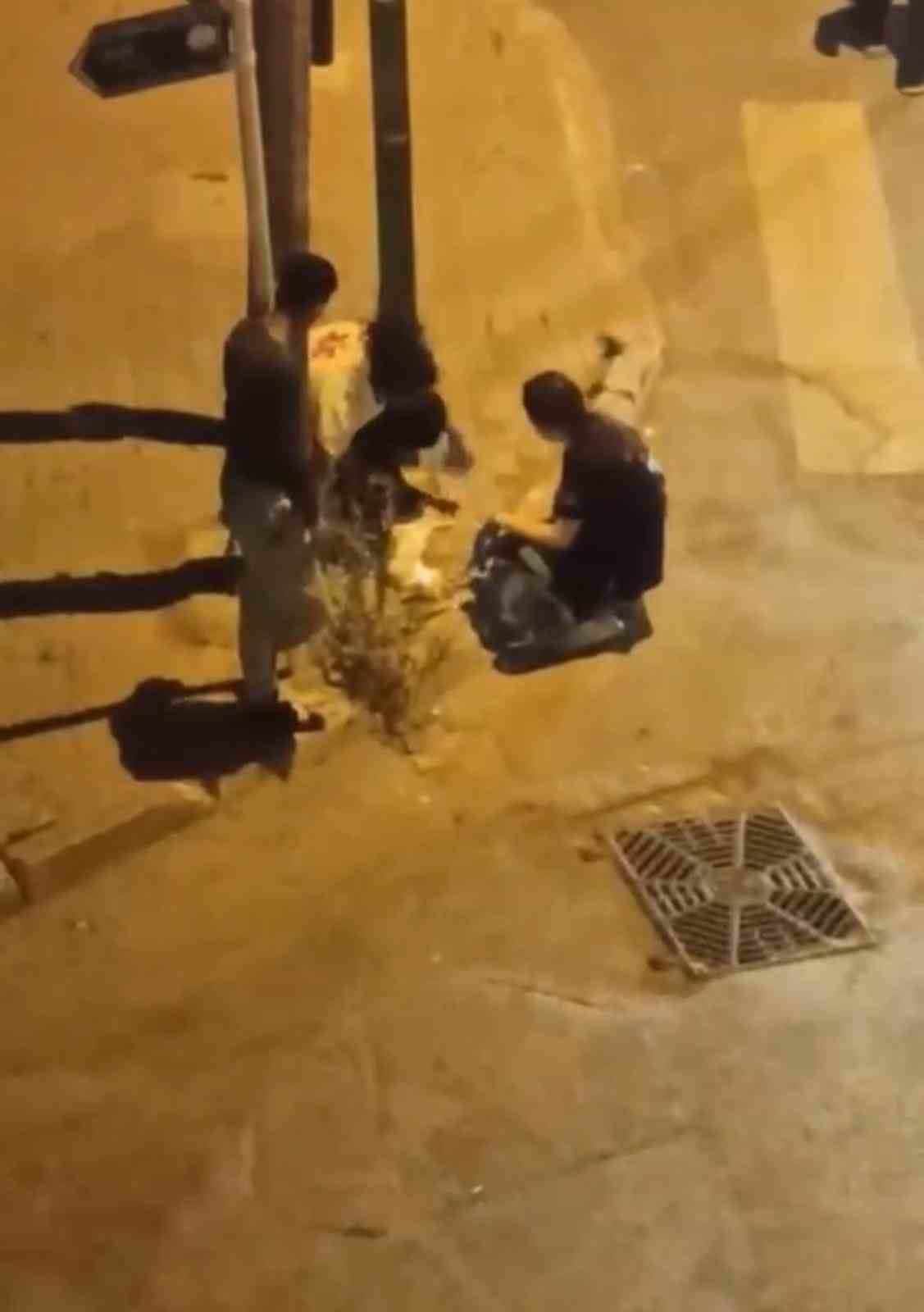 Otomobil çarpan kediye hemşireler dakikalarca kalp masajı yaptı