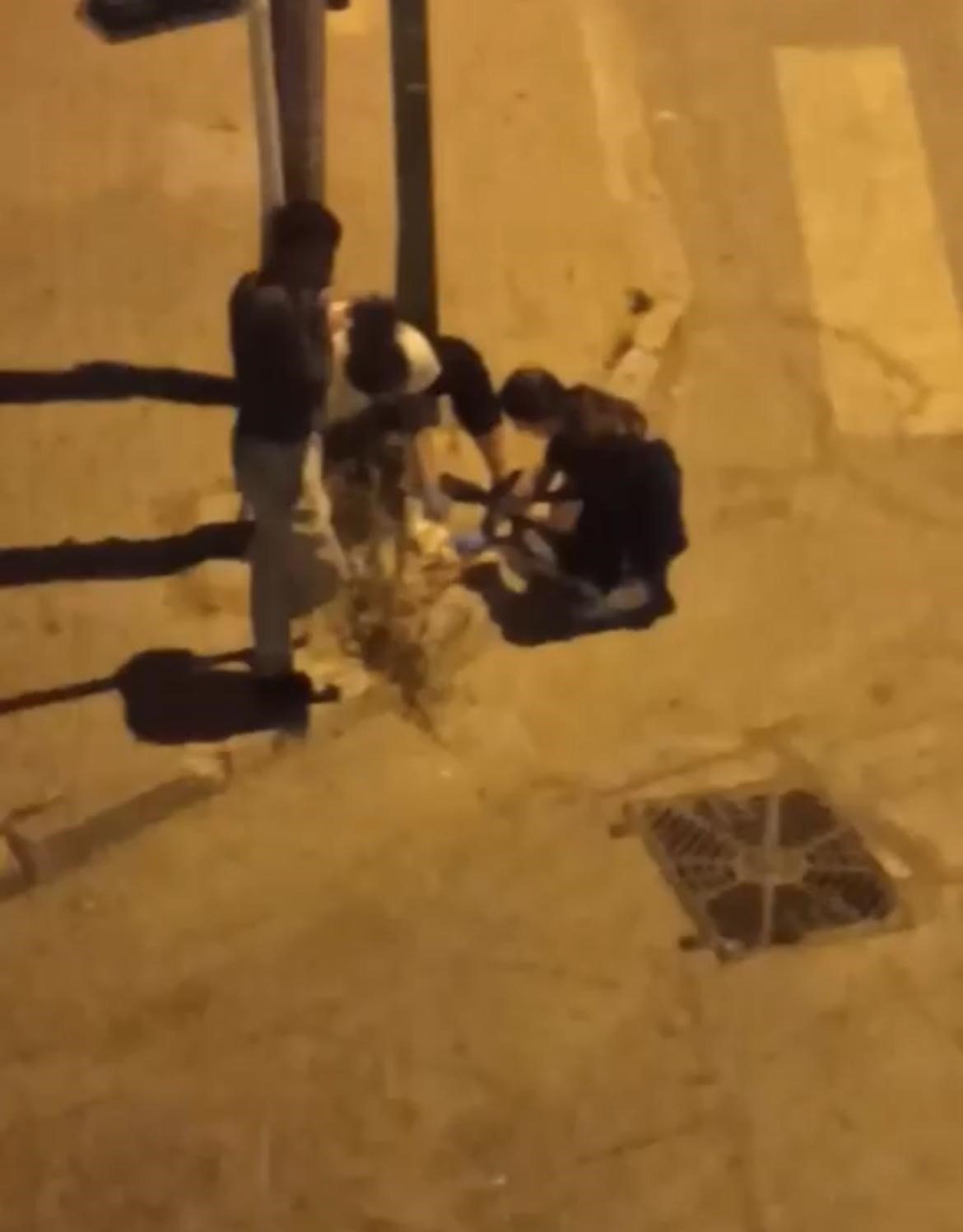 Otomobil çarpan kediye hemşireler dakikalarca kalp masajı yaptı