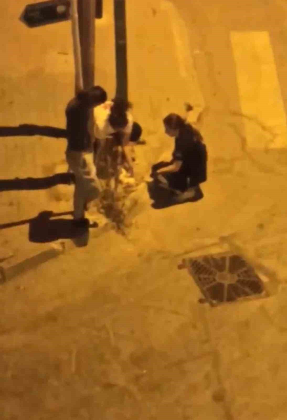 Otomobil çarpan kediye hemşireler dakikalarca kalp masajı yaptı