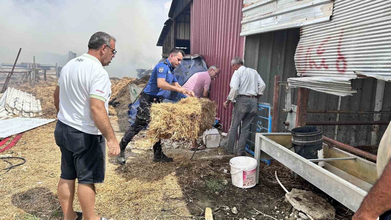 Çanakkale’de çıkan yangında 2 hayvan telef oldu