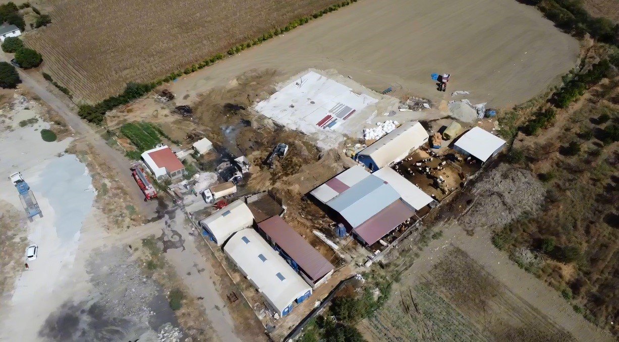 Çanakkale’de çıkan yangında 2 hayvan telef oldu