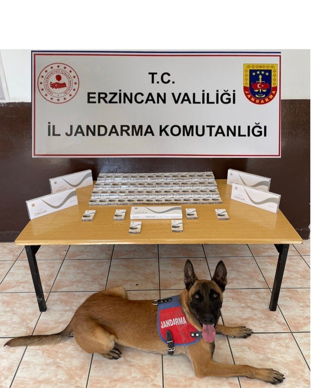 Erzincan’da jandarma kaçakçılık olaylarına geçit vermiyor