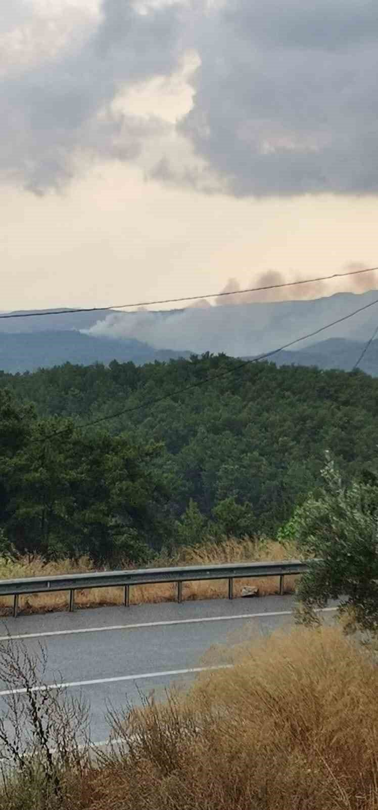 Marmaris’te yıldırım yangını