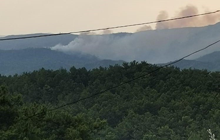 Marmaris’te yıldırım yangını