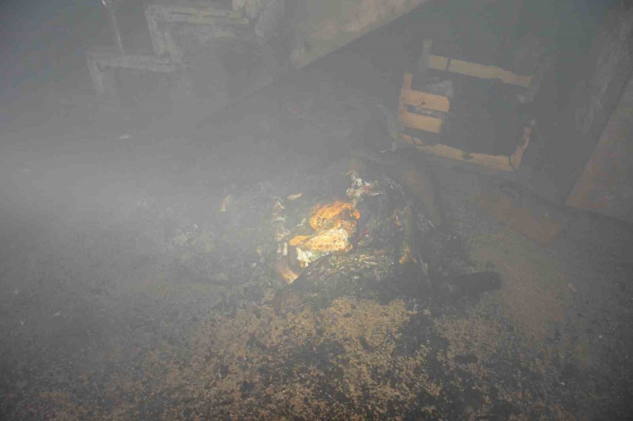 Yanan karton ve kağıtlar apartmanda paniğe neden oldu