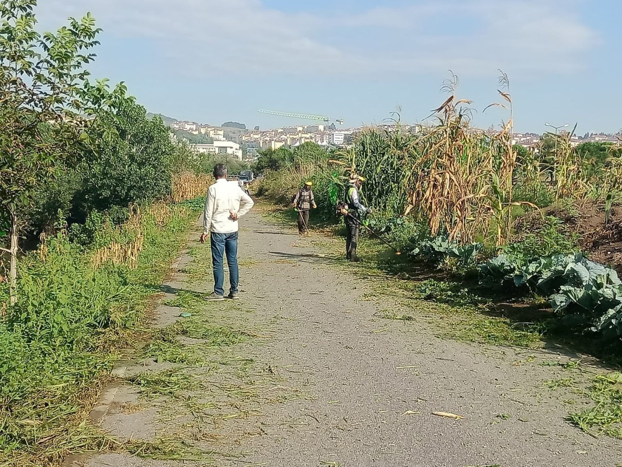 Bisiklet yollarında temizlik