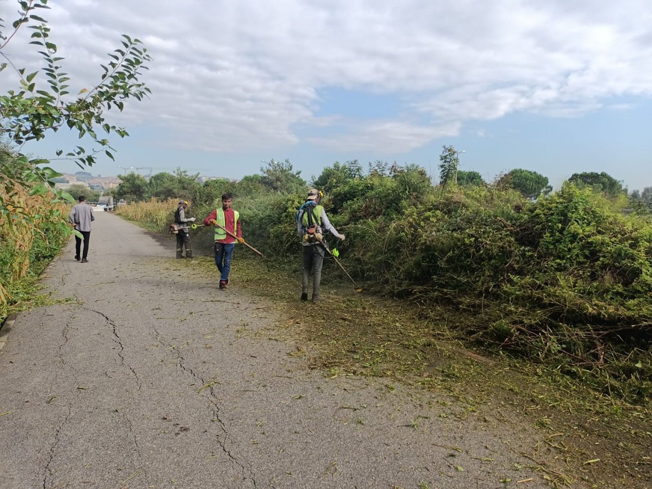 Bisiklet yollarında temizlik