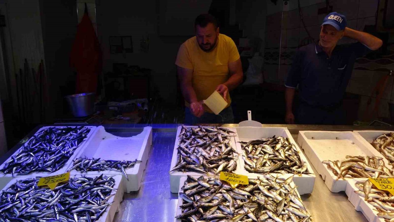 Sezonun ilk günü tezgâhlarda görünmeyen hamsi yerini aldı