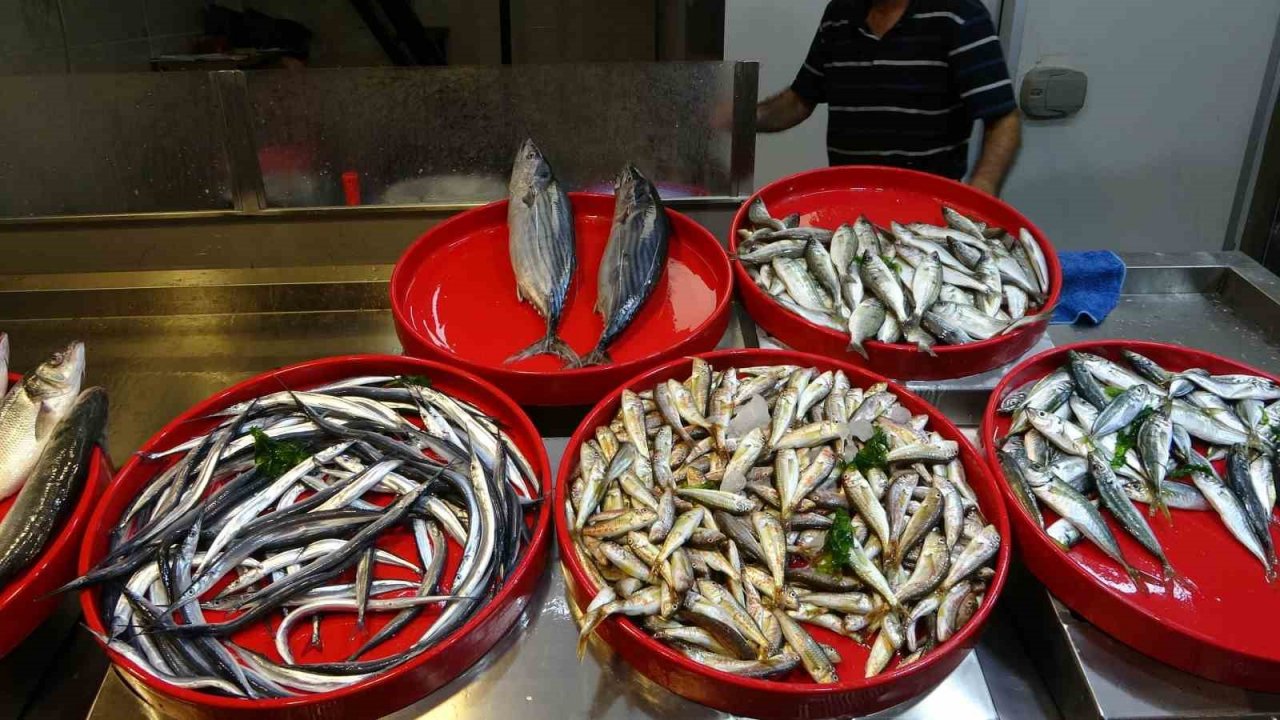 Sezonun ilk günü tezgâhlarda görünmeyen hamsi yerini aldı