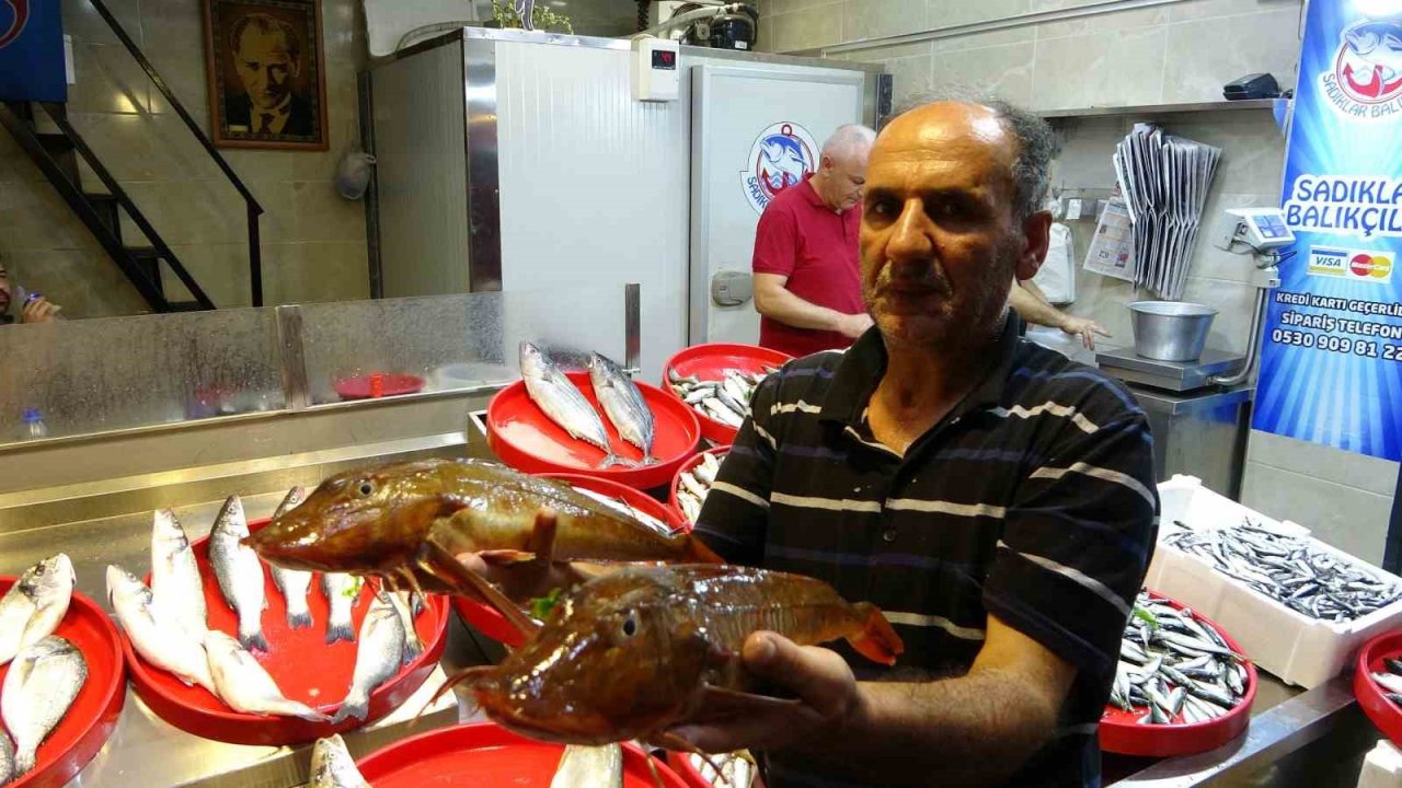 Sezonun ilk günü tezgâhlarda görünmeyen hamsi yerini aldı