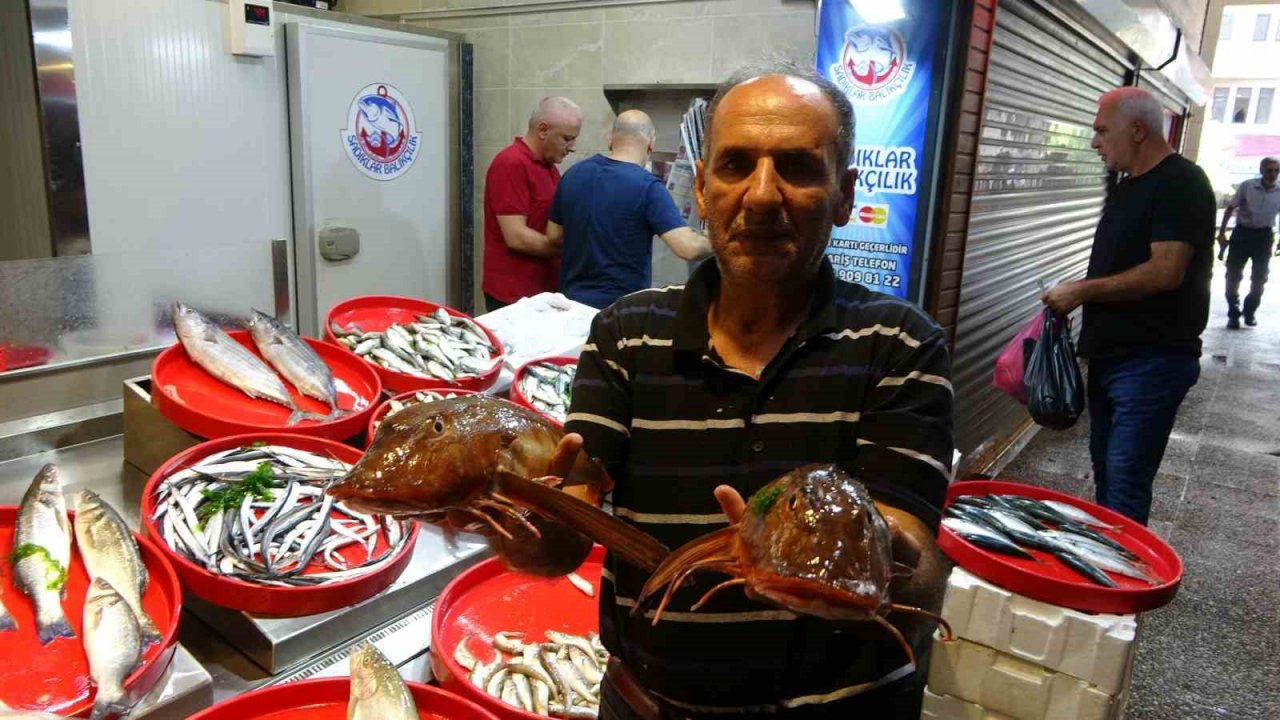 Sezonun ilk günü tezgâhlarda görünmeyen hamsi yerini aldı