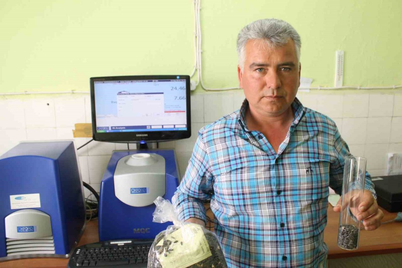 Ay çekirdeği çiftçinin yüzünü güldürecek