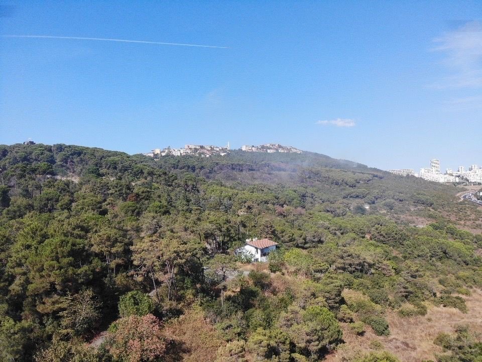 Başıbüyük Ormanı’nda çıkan yangın itfaiye ve helikopter müdahalesiyle söndürüldü