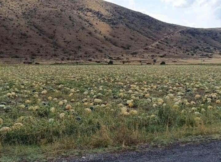 Nevşehir’de selin faturası ağır oldu