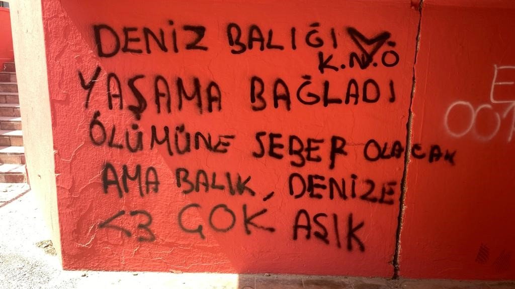 Şehit isminin verildiği alt geçidin duvarları karalama tahtasına döndü