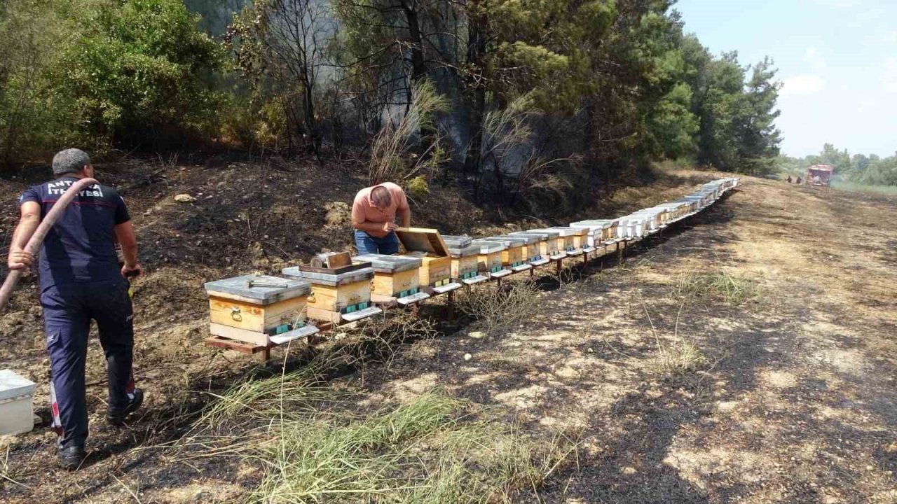 Yol kenarında başlayan yangında arı kovanları hızlı müdahaleyle kurtuldu