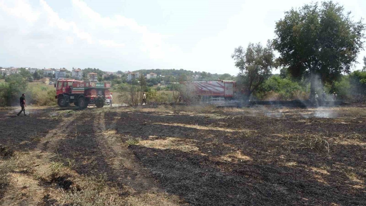 Yol kenarında başlayan yangında arı kovanları hızlı müdahaleyle kurtuldu