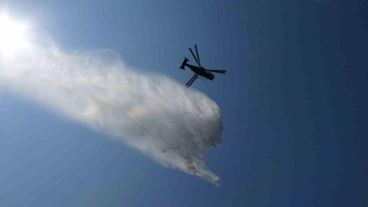Yol kenarında başlayan yangında arı kovanları hızlı müdahaleyle kurtuldu