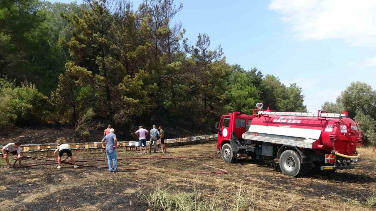 Yol kenarında başlayan yangında arı kovanları hızlı müdahaleyle kurtuldu