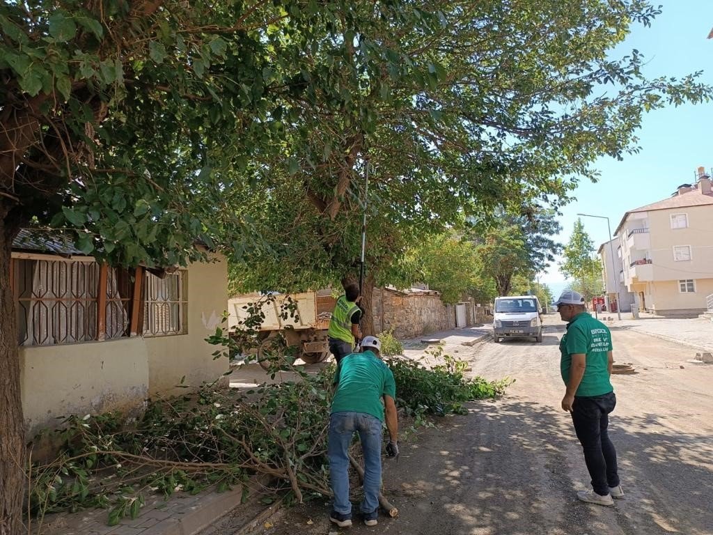 Bingöl Belediyesi, park ve bahçelerde bakım onarım çalışması başlattı