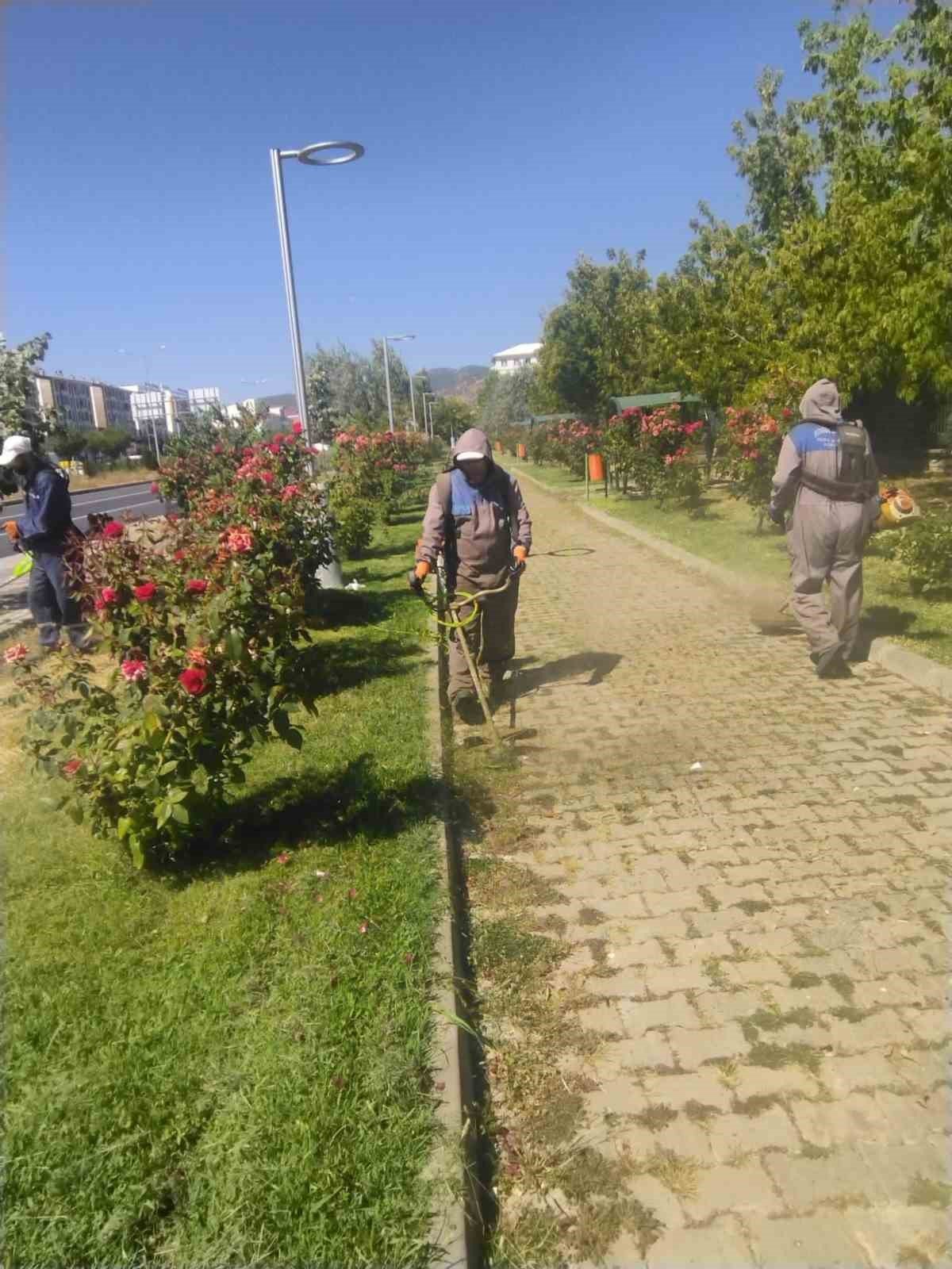 Bingöl Belediyesi, park ve bahçelerde bakım onarım çalışması başlattı
