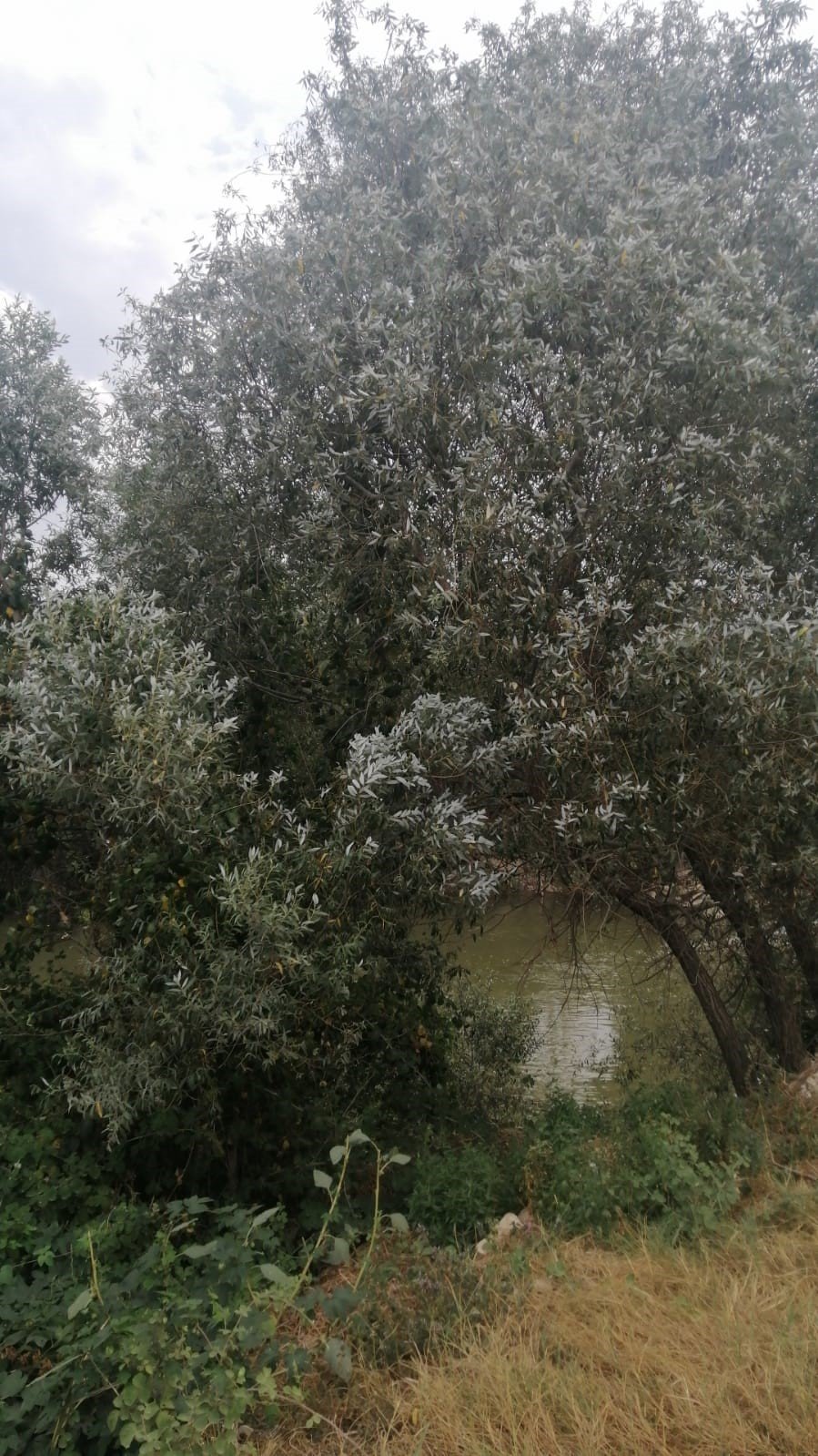 Bursa’da kaybolan teknisyenden üzücü haber