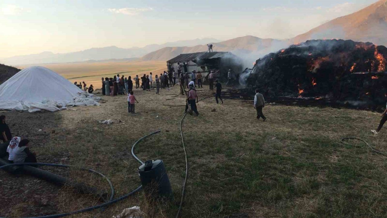 Yüksekova’da çıkan yangında 6 bin bağ ot yandı